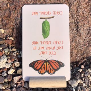 קלפי צמיחה לחיזוק משאבי חוסן